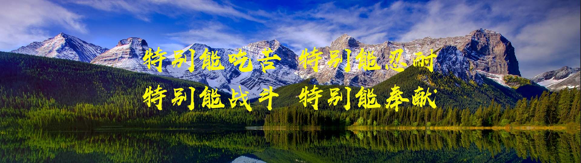首页banner1